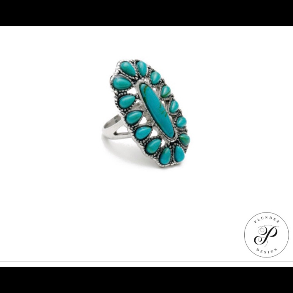 NWT Plunder Shara Ring Size 6